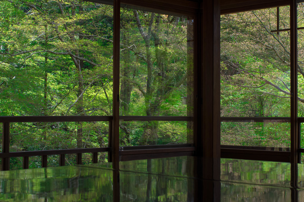 20170416-IMGP4139