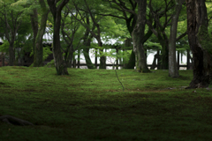 IMGP9317