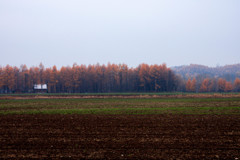 20131101-DSC02854
