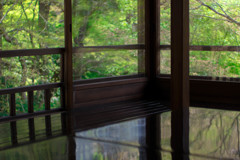20170416-IMGP4162