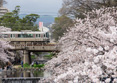 20170409-IMGP4041