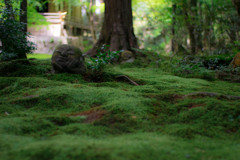 三千院　地蔵さん