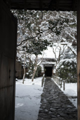 20170115-IMGP3356