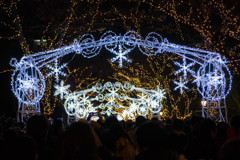 20161224-IMGP2981