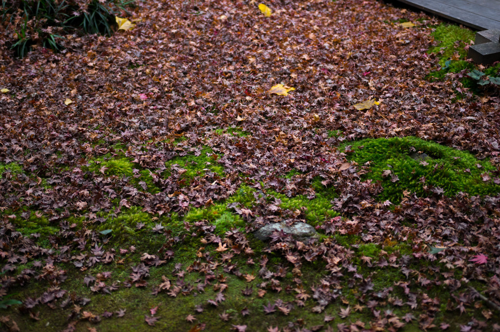 20161204-IMGP2933