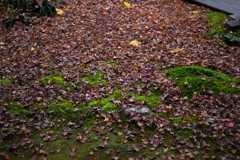 20161204-IMGP2933