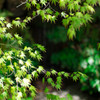 20170416-IMGP4093