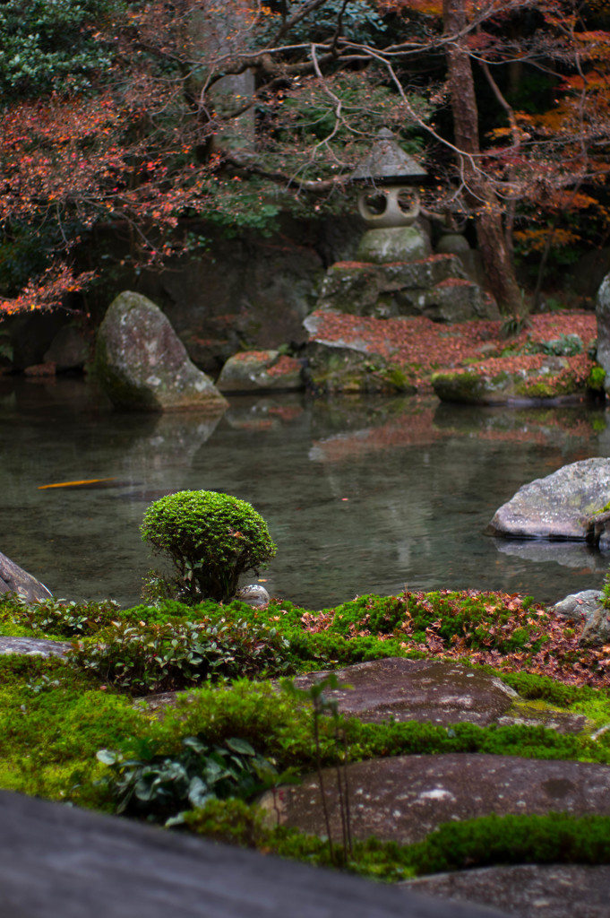20161204-IMGP2918