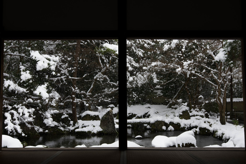 20170115-IMGP3383