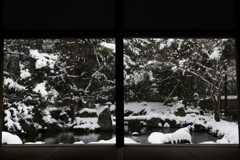 20170115-IMGP3383