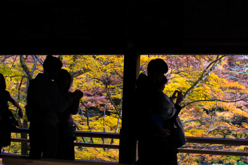 20161113-IMGP2563