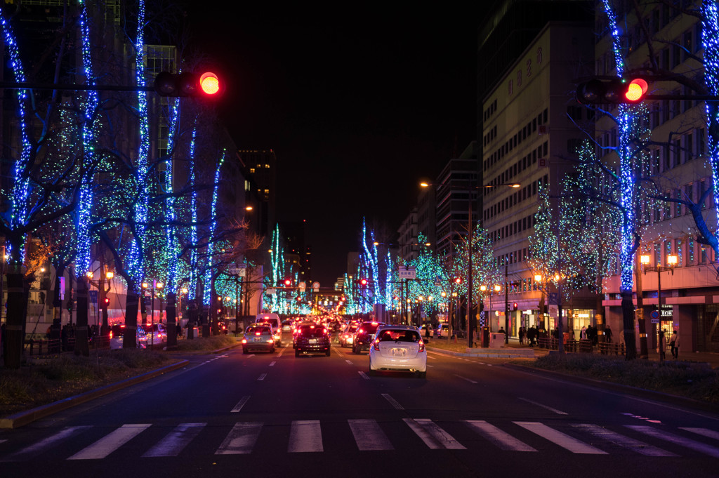 20161224-IMGP2991