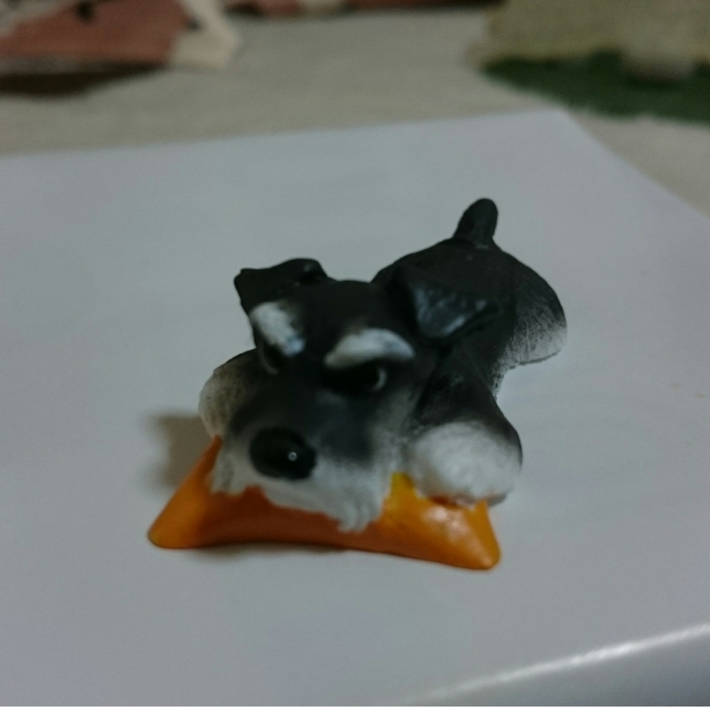 シュナフェス戦利品