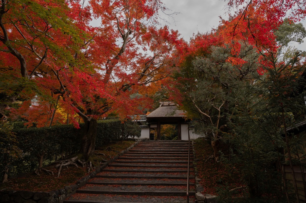 深まる秋　安楽寺