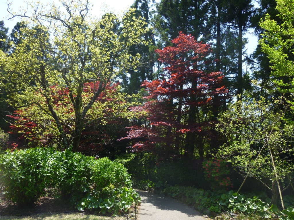 P1040178