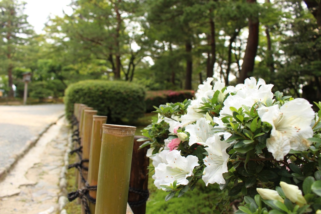 兼六園