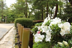 兼六園