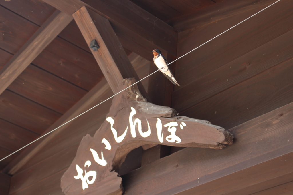 白川郷での１枚
