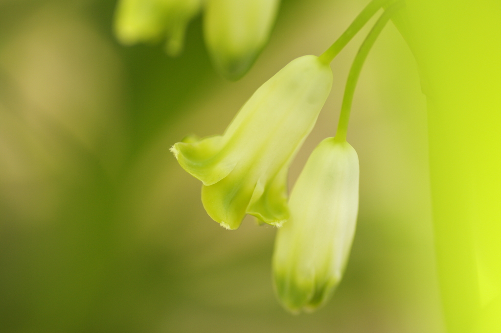 心の痛みのわかる人