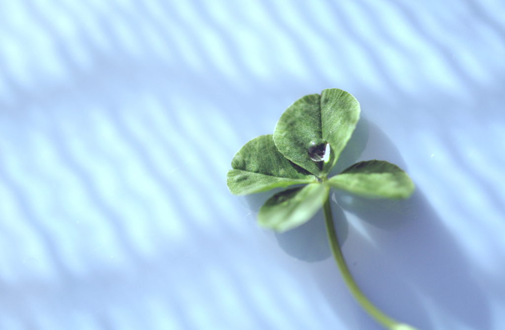 hope