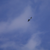 青空の憧憬