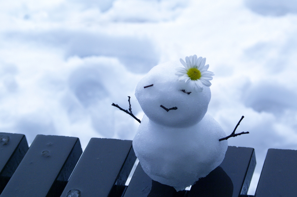 雪ダルマさん