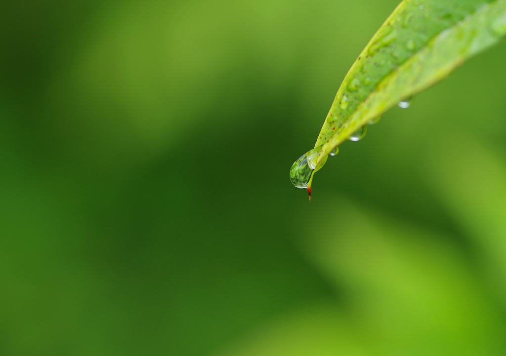 雨滴