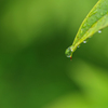 雨滴
