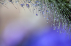 雨の重み