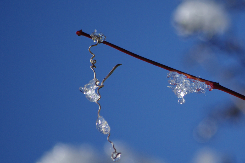 雪のお土産
