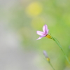 ひと息
