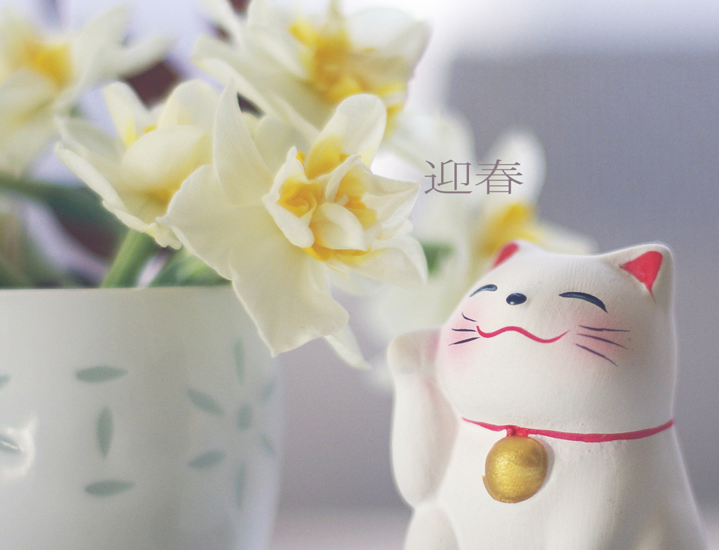 招福