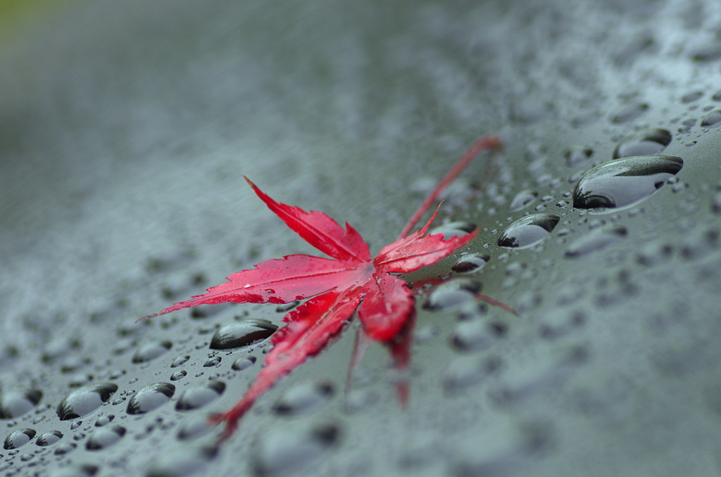 時雨るー９０ー