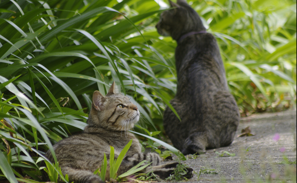 それぞれの視点