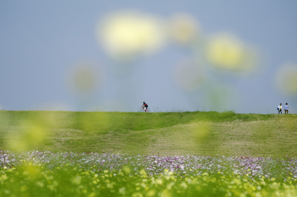 秋を駆ける