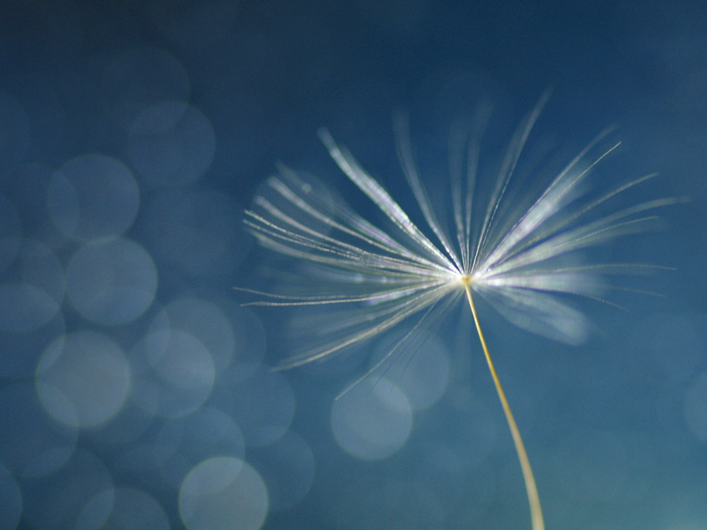 magical power