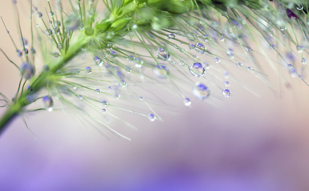 雨を纏う