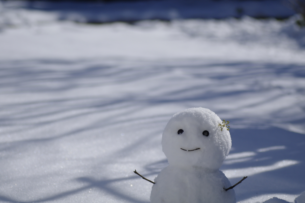 雪でした。。