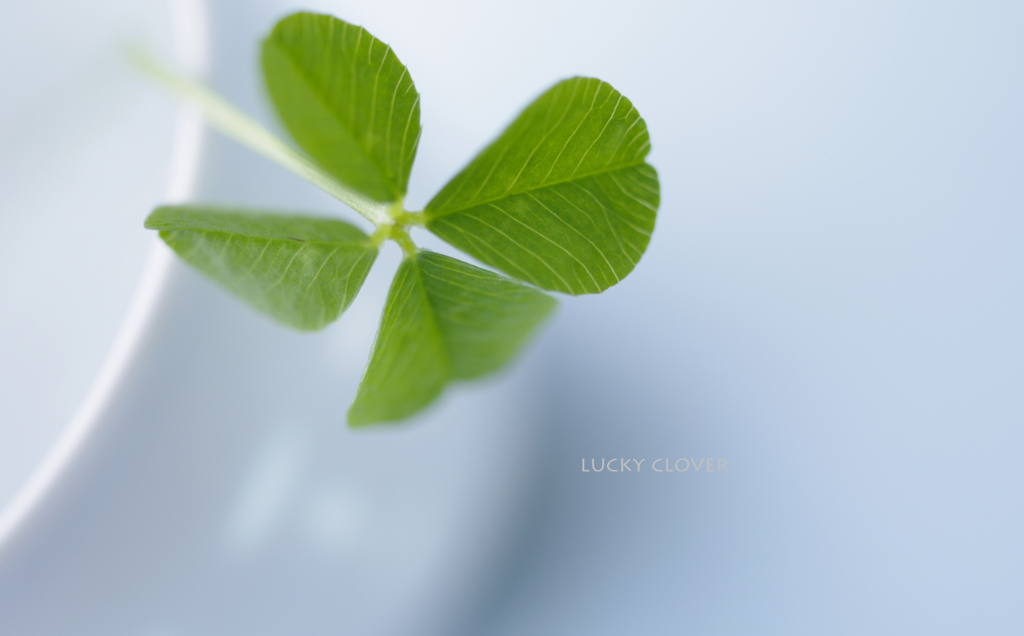 lucky clover
