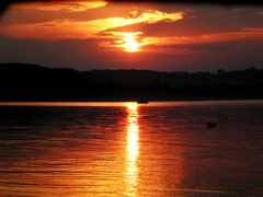 2011,1 (12)