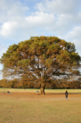 201511166
