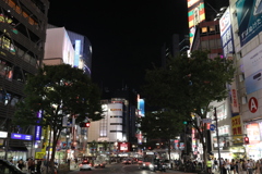 Tokyo night