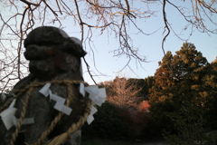 平群天神