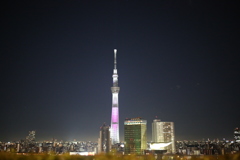 Tokyo Skytree