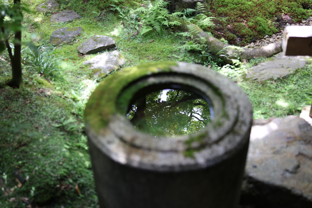 永観堂禅林寺にて
