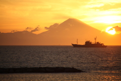Hojo