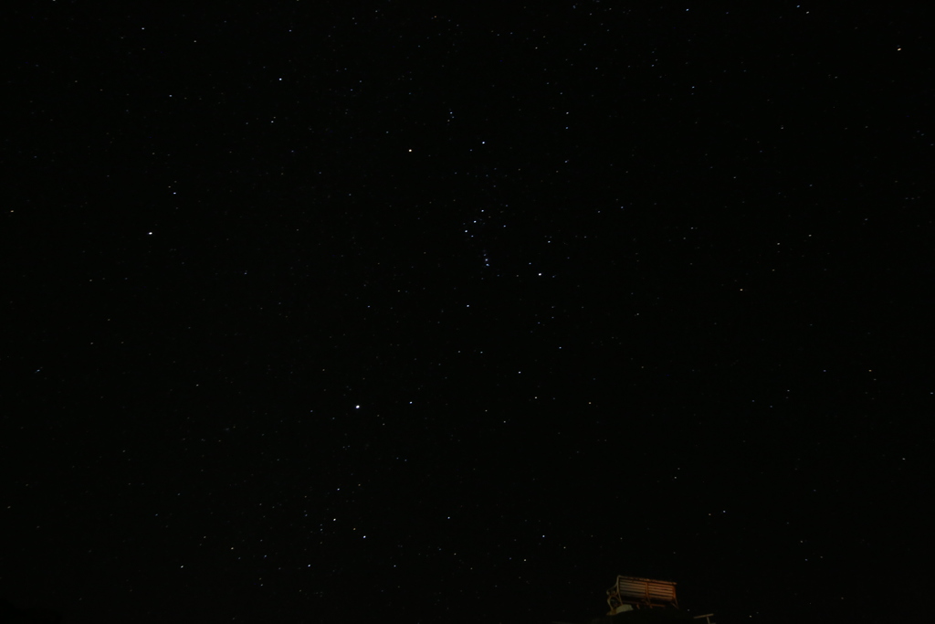 Orion