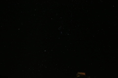 Orion