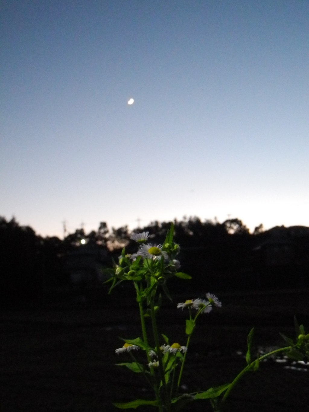 秋の夜の・・・