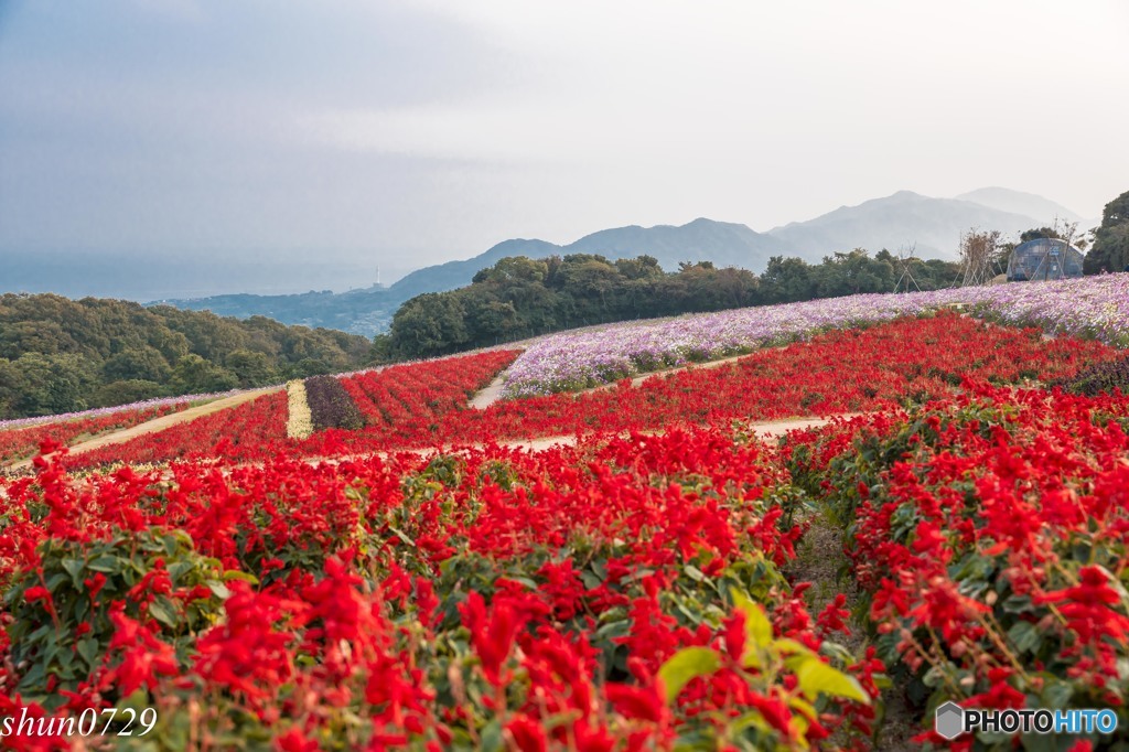 花園